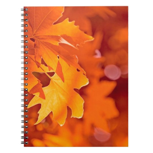 Herbstleaves Notizblock (Vorderseite)