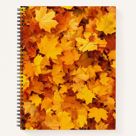 Herbstleaves Notizblock (Vorderseite)