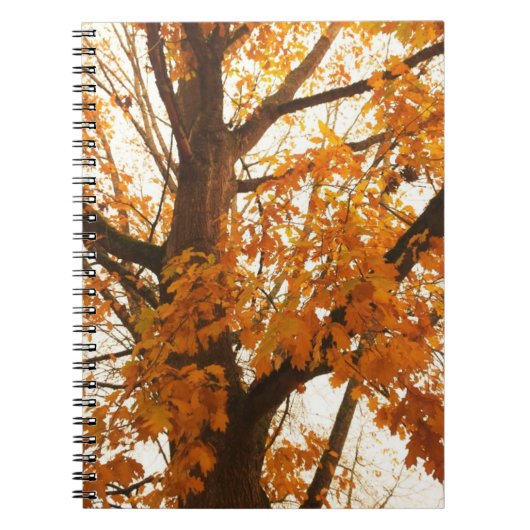 Herbstleaves Notizblock (Vorderseite)