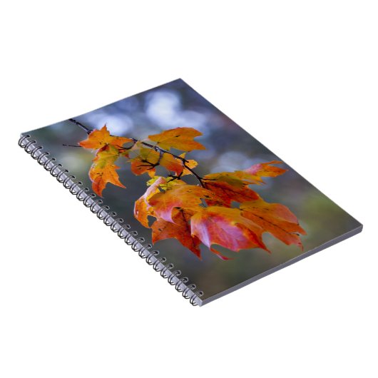 Herbstleaves Notizblock (Rechte Seite)