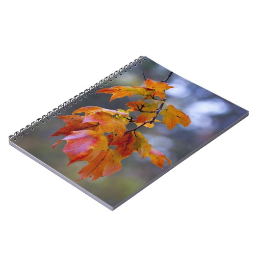 Herbstleaves Notizblock (Linke Seite)