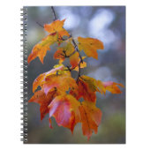 Herbstleaves Notizblock (Vorderseite)