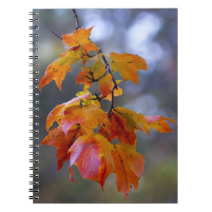 Herbstleaves Notizblock