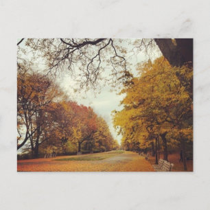 Herbstleaves NYC Riverside Park New York Fall Postkarte