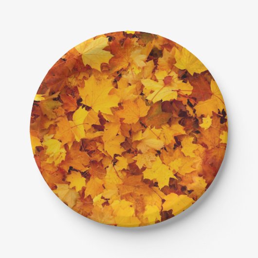 Herbstleaves Pappteller (Vorderseite)