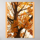 Herbstleaves Poster (Vorne)