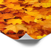 Herbstleaves Poster (Ecke)