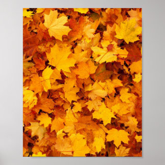 Herbstleaves Poster