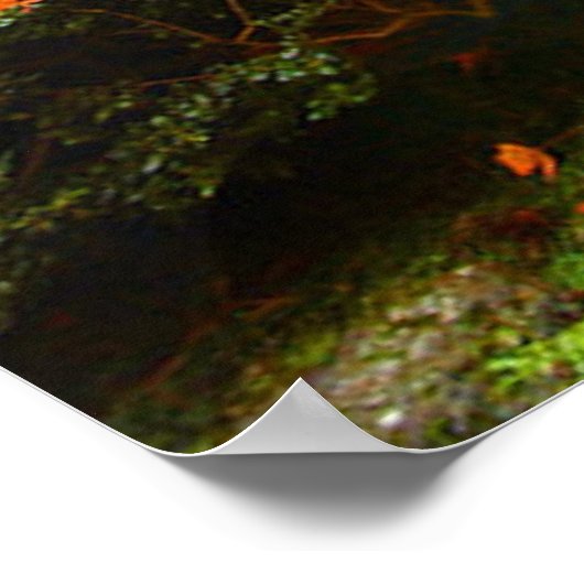 Herbstleaves Poster (Ecke)