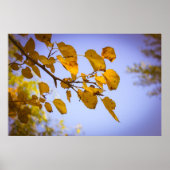 Herbstleaves Poster (Vorne)