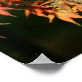 Herbstleaves Poster (Ecke)