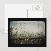 Herbstleaves Postkarte (Vorne/Hinten)