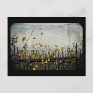 Herbstleaves Postkarte