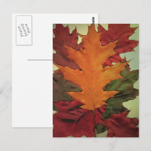 Herbstleaves Postkarte (Vorne/Hinten)