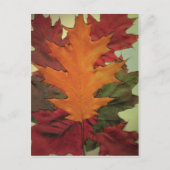 Herbstleaves Postkarte (Vorderseite)