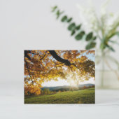 Herbstleaves Postkarte (Stehend Vorderseite)