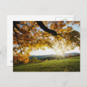 Herbstleaves Postkarte (Vorne/Hinten)