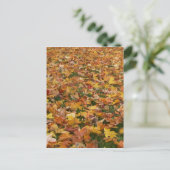 Herbstleaves Postkarte (Stehend Vorderseite)