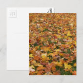 Herbstleaves Postkarte (Vorne/Hinten)