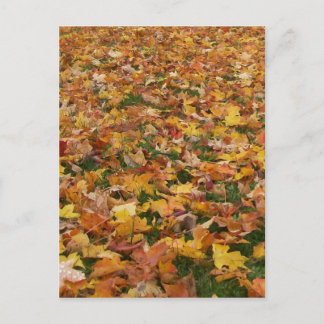 Herbstleaves Postkarte