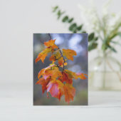 Herbstleaves Postkarte (Stehend Vorderseite)