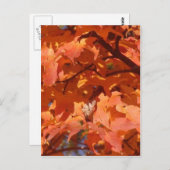 Herbstleaves Postkarte (Vorne/Hinten)