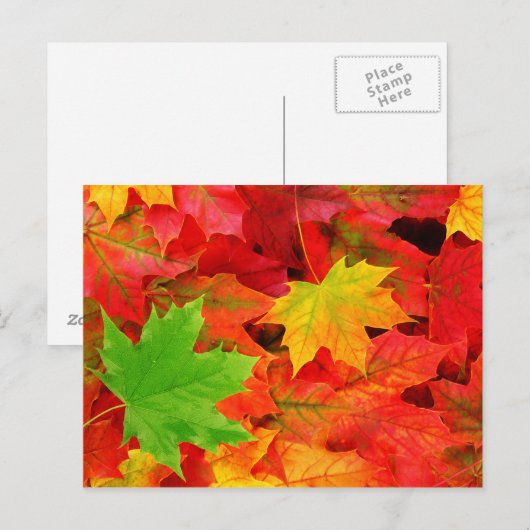 Herbstleaves Postkarte (Vorne/Hinten)