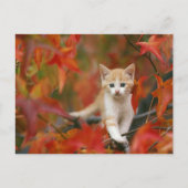 Herbstleaves Postkarte (Vorderseite)