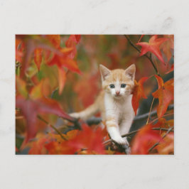 Herbstleaves Postkarte