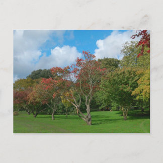 Herbstleaves Postkarte