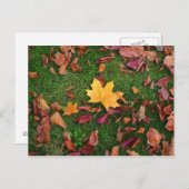 Herbstleaves Postkarte (Vorne/Hinten)