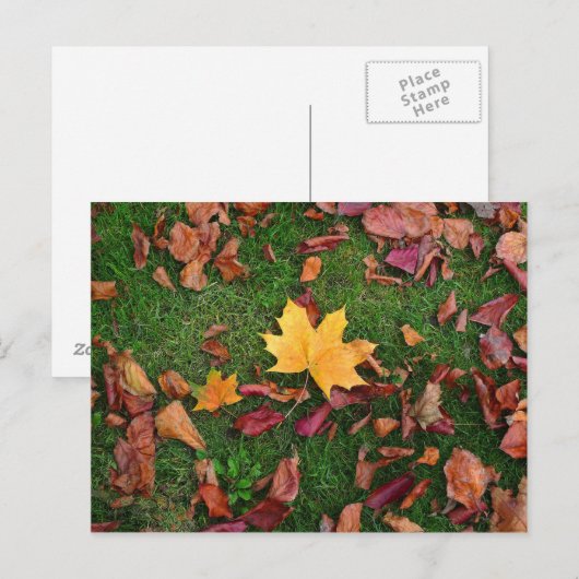 Herbstleaves Postkarte (Vorne/Hinten)