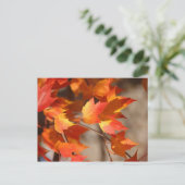 Herbstleaves Postkarte (Stehend Vorderseite)