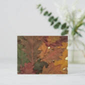 Herbstleaves Postkarte (Stehend Vorderseite)