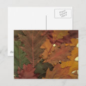 Herbstleaves Postkarte (Vorne/Hinten)