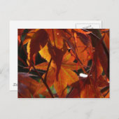 Herbstleaves Postkarte (Vorne/Hinten)
