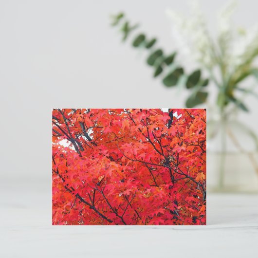 Herbstleaves Postkarte (Stehend Vorderseite)