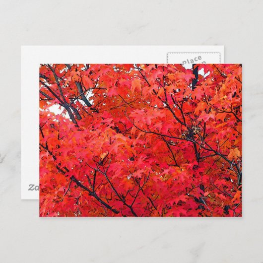 Herbstleaves Postkarte (Vorne/Hinten)