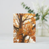 Herbstleaves Postkarte (Stehend Vorderseite)