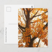 Herbstleaves Postkarte (Vorne/Hinten)