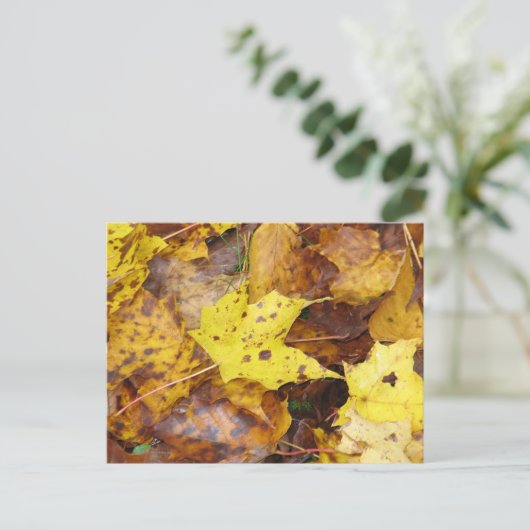 Herbstleaves Postkarte (Stehend Vorderseite)