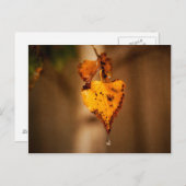 Herbstleaves Postkarte (Vorne/Hinten)
