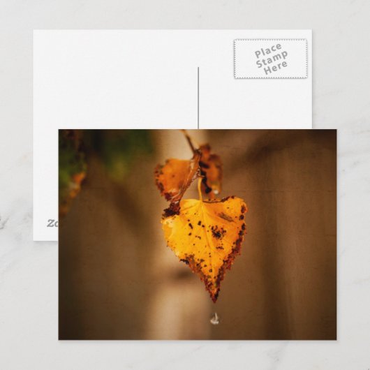 Herbstleaves Postkarte (Vorne/Hinten)