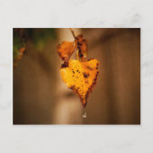 Herbstleaves Postkarte (Vorderseite)
