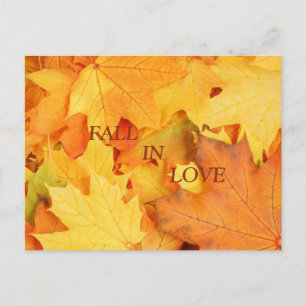 Herbstleaves Postkarte