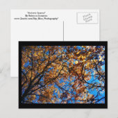 Herbstleaves Postkarte (Vorne/Hinten)