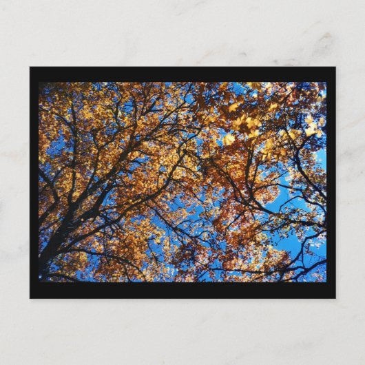 Herbstleaves Postkarte (Vorderseite)