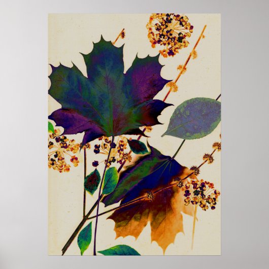 Herbstleaves Royal Colors Poster (Vorne)