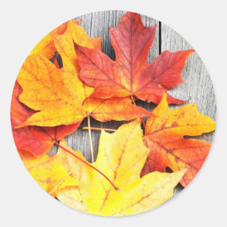 Herbstleaves Runder Aufkleber