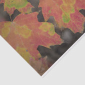 Herbstleaves Seidenpapier (Ausschnitt)